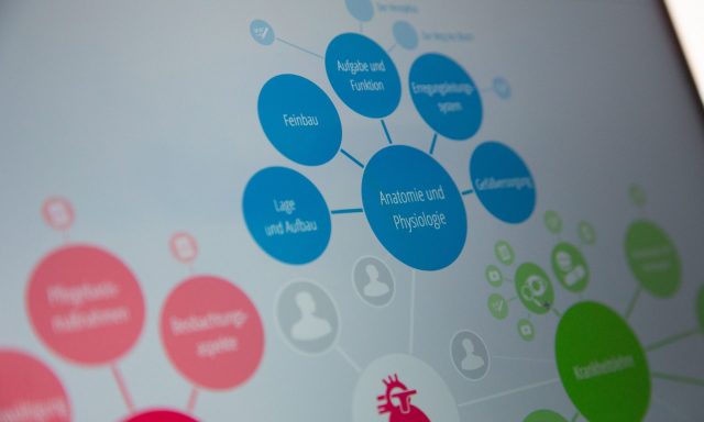 Detail der Lernmap vom Thieme Verlag